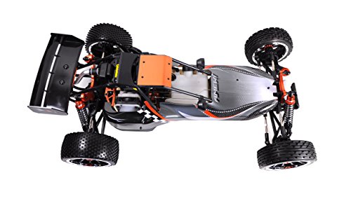 Amewi 22060 – Buggy Pit Bull X M 1: 5, 30 cm, 2.4 GHz, 2 WD