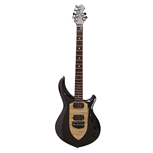 Axman John Petrucci (Dream Theater): Majesty Music Man - Réplica de guitarra en miniatura - Regalos musicales - Escala ornamental hecha a mano 1/4