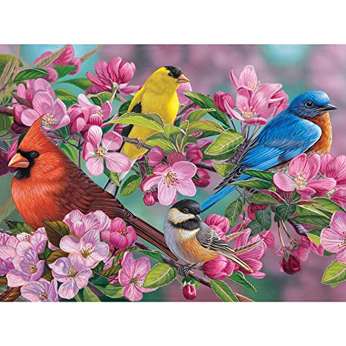 Bits and Pieces - Rompecabezas de 500 piezas para adultos - Rompecabezas de pájaros de primavera 'Songbird Colors' por el artista Jeff Hoff - 18 x 24 pulgadas