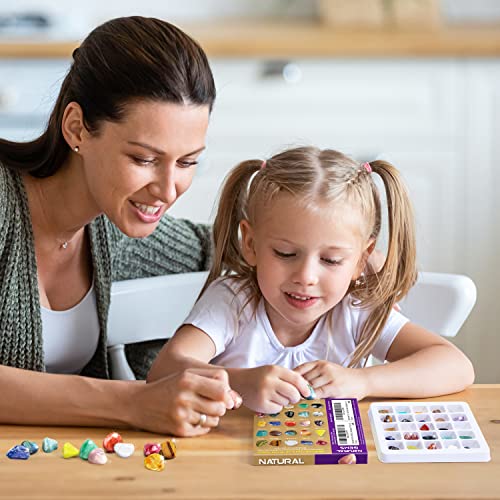 Byncceh Kit de Descubrimiento de Rocas y minerales 25 Rocas y minerales coleccionables y observadores Set de Piedras Naturales Minerales Auténticos para Niños