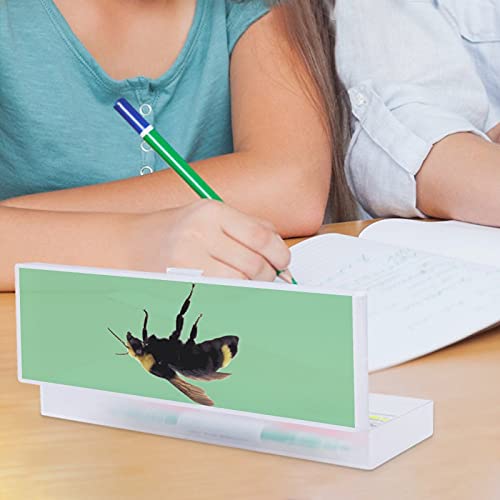 Caja de lápices transparente pequeña y grande con diseño original Hornet Worker Bee Hornet Fluff Lupa para estudiantes escolares, unisex, niños, niñas, niños, niños, niños, jóvenes, hombres y mujeres