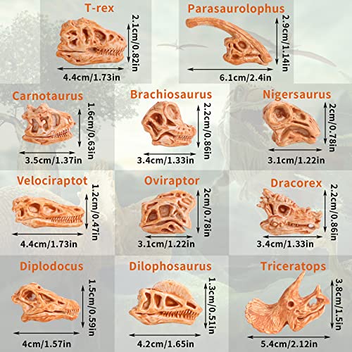 cobee Mini Esqueleto de Cabeza de Dinosaurio, 11 Piezas de Huesos de Dinosaurio Figuras fósiles de Dinosaurio para Caja de Arena Figuras de Cabeza de Dinosaurio, Calavera de Dinosaurio