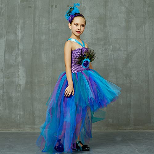 Disfraz de carnaval para niños, disfraz de pavo real, disfraz para niñas, vestido de verano, vestido de princesa, vestido informal, vestido de malla con tutú, ropa de exterior con sombrero, 2 juegos