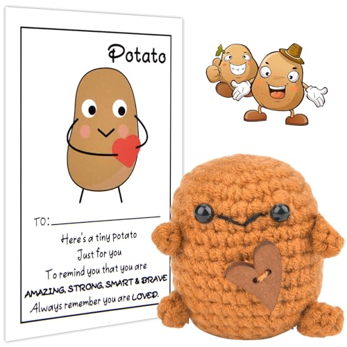 Emotional Support Pickle, Mini MuñEca de Pepinillo de Punto con Tarjeta Positiva, Regalos de Buena Suerte, Regalos Divertidos, Regalos Positivos, de Punto para de Regalo de CumpleañOs (A)