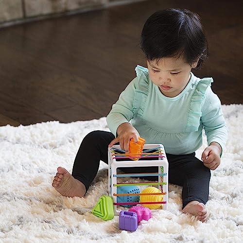 Fat Brain Toys F251 Fat Brain InnyBin, Kids Preschool, Shape Sorter, Sorting Building Sets, Early Development Toy for Babies Aged 18 Months and Older, Multicoloured