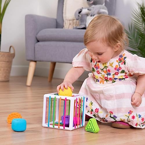 Fat Brain Toys F251 Fat Brain InnyBin, Kids Preschool, Shape Sorter, Sorting Building Sets, Early Development Toy for Babies Aged 18 Months and Older, Multicoloured