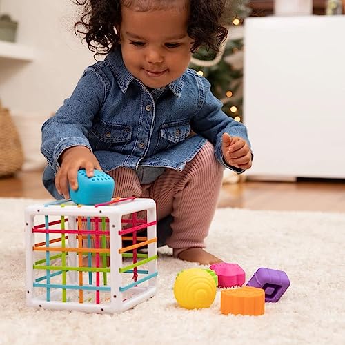 Fat Brain Toys F251 Fat Brain InnyBin, Kids Preschool, Shape Sorter, Sorting Building Sets, Early Development Toy for Babies Aged 18 Months and Older, Multicoloured