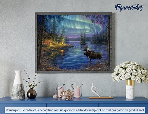 Figured'Art Pintar por Numeros Adultos Elan y Aurore Boreal - Manualidades pintura acrilica Kit Cuadro DIY completo - 40x50cm sin bastidor