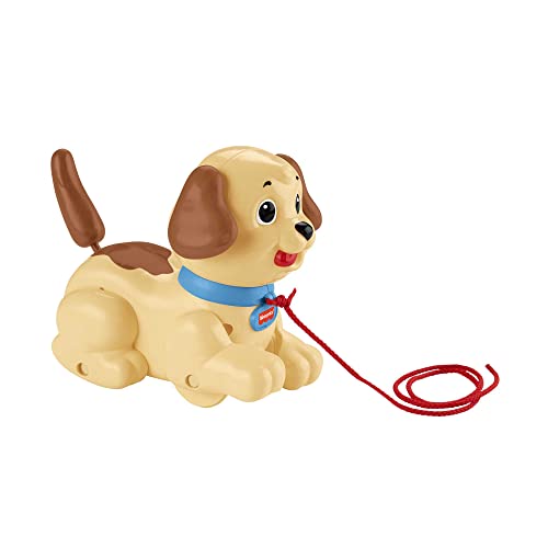 Fisher-Price Lil' Snoopy Pull Along Dog & Teléfono Carita Divertida - Juguetes Bebe 1 año - (Mattel FGW66)