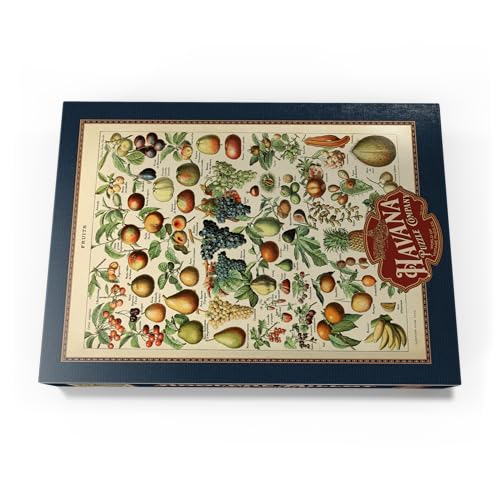 Fructus - Frutas para Todos, Póster De Arte Vintage, Adolphe Millot - Premium 1000 Piezas Puzzles - Colección Especial MyPuzzle de Havana Puzzle Company