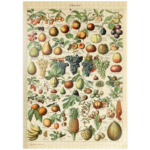 Fructus - Frutas para Todos, Póster De Arte Vintage, Adolphe Millot - Premium 1000 Piezas Puzzles - Colección Especial MyPuzzle de Havana Puzzle Company