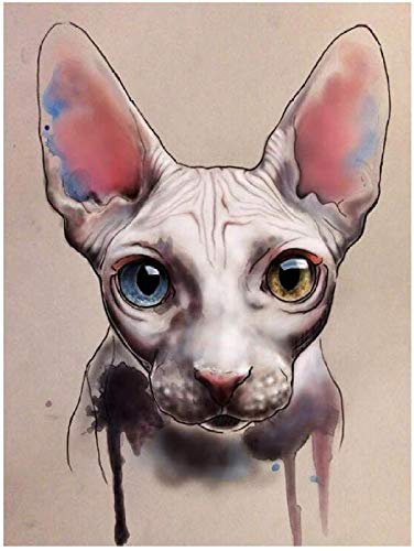 Gato animales pintura de bricolaje por números pintura al óleo moderna pintada a mano cuadro de arte de pared envío de la gota pintura por números regalo A3 50x70cm