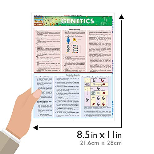 Genetics (Quick Study Academic)