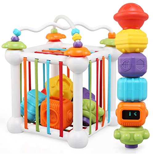 JoyLife Juguetes Bebes 6-12 Meses, Montessori de Juguetes Educativos Aprendizaje Juegos de Bloques de Clasificación con Forma, Regalo Juego de Combinación de Color Juguete para Niños