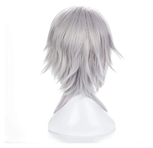 JPSOUP Anime Cosplay Wigs Touken Ranbu Online Tsurumaru Kuninaga Silver Hair Tail Plus Peluca Larga Cosplay Pelucas Partes + Peluca Cap