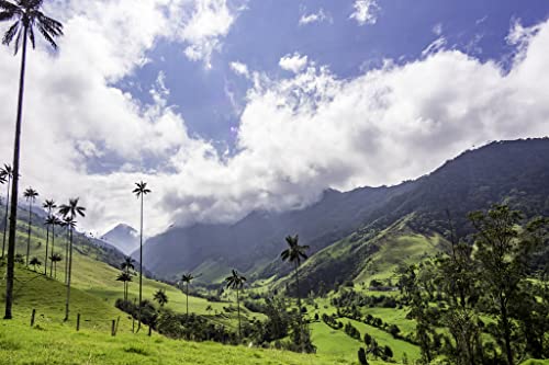 Lais Puzzle Hermoso Paisaje de Caminata Diurna del Valle del Cocora en Salento, Colombia 2000 Piezas