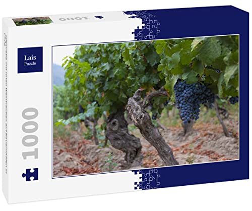 Lais Puzzle Parra con Uvas Rojas en fincas de Chile 1000 Piezas