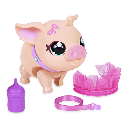 Little Live Pets- My Little Pig Pet Bella Juguete, Color cerdita (Famosa LPW01000)