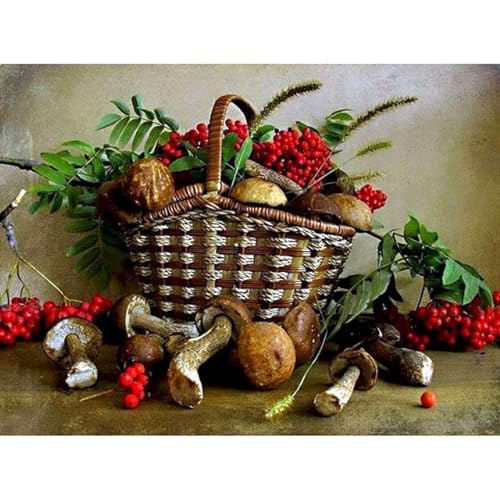 LIUJUNH Pintura por número Comida Fruta Dibujo sobre lienzo Pintura pintada a mano Regalo de arte Imágenes de bricolaje por números Kits Decoración para el hogar Set ERE09 50x65cm