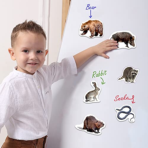 Magdum Animales del Bosque Imanes Niños 20 Piezas - Animales Imanes Nevera Niños - Juego Imanes - Juegos Magneticos para Niños - Imanes para Niños - Imanes Infantiles - Juguetes Educativos 3 Años