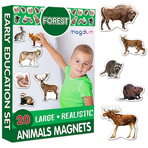 Magdum Animales del Bosque Imanes Niños 20 Piezas - Animales Imanes Nevera Niños - Juego Imanes - Juegos Magneticos para Niños - Imanes para Niños - Imanes Infantiles - Juguetes Educativos 3 Años