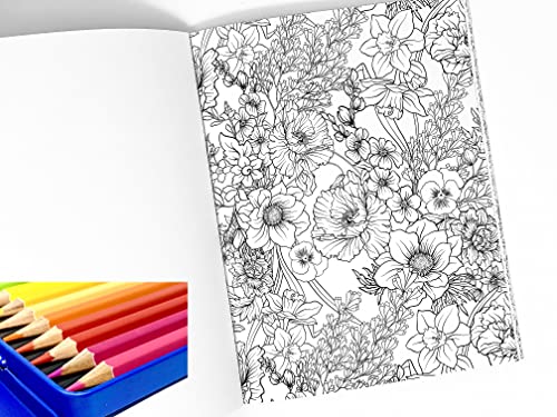 Minis Kreativ Juego de lápices de colores con 24 lápices de colores + sacapuntas DUO, libro para colorear con música relax, adecuado para artistas, niños y adultos