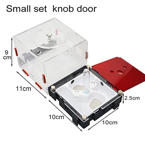 Nido Hormigas Expansión Ilimitada Conveniente Cómodo Hormiguero Ants Nest AntHouse Acrilico Ant Farm Formicario Educativo Tubo Prueba Carcasa Hormiga Insecto Villa para Hormigas Vivas