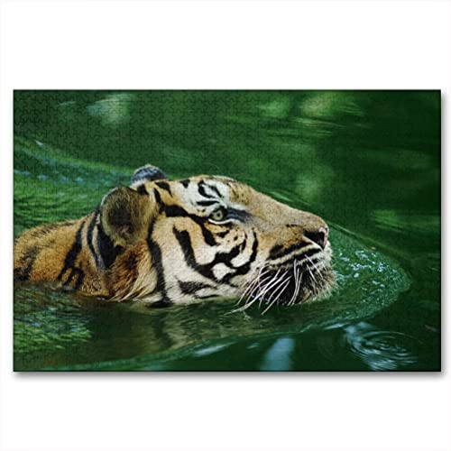 Panthera Tigris SSP. Jacksoni - Puzzle de madera para adultos (1000 piezas, 29.5 x 19.7 pulgadas)