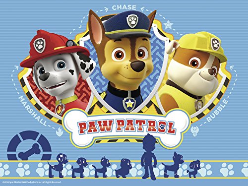 Paw Patrol-10C4005556074242C10 Paw Patrol Rompecabezas 12 Cubos con maletín, Multicolor, 25 x 15 cm (Ravensburger 74242)