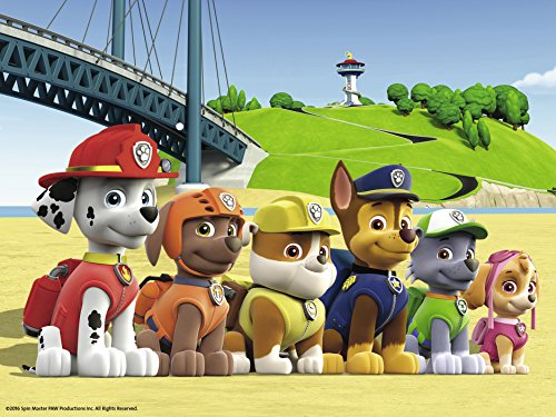 Paw Patrol-10C4005556074242C10 Paw Patrol Rompecabezas 12 Cubos con maletín, Multicolor, 25 x 15 cm (Ravensburger 74242)