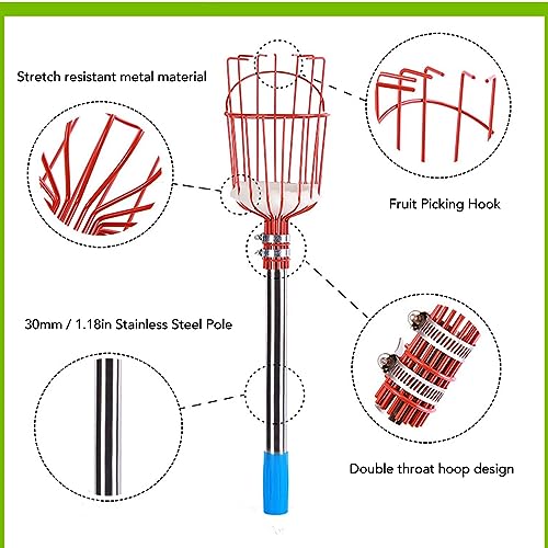 PenRux Herramienta Recolector de Frutas, Abrazadera Fuerte, Segura, Fácil de Recoger, Recolector de Frutas Multifuncional de Acero Inoxidable para Manzana (6 Secciones)