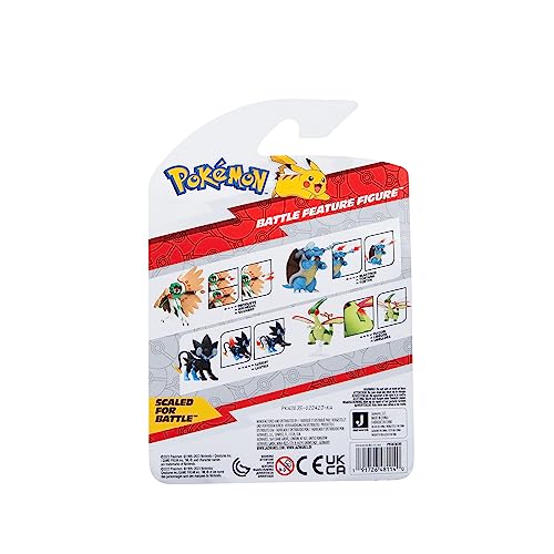 Pokemon, Color turtok, Medium (Jazwares PKW3035)