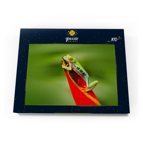 Rana Arbórea De Ojos Rojos, Agalychnis Callidryas, Costa Rica - Premium 100 Piezas Puzzles - Colección Especial MyPuzzle de Puzzle Galaxy