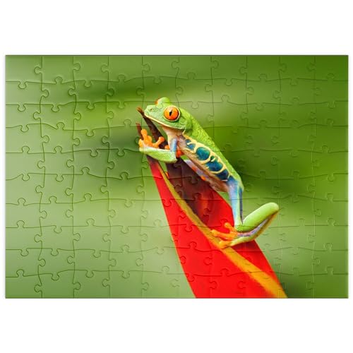 Rana Arbórea De Ojos Rojos, Agalychnis Callidryas, Costa Rica - Premium 100 Piezas Puzzles - Colección Especial MyPuzzle de Puzzle Galaxy