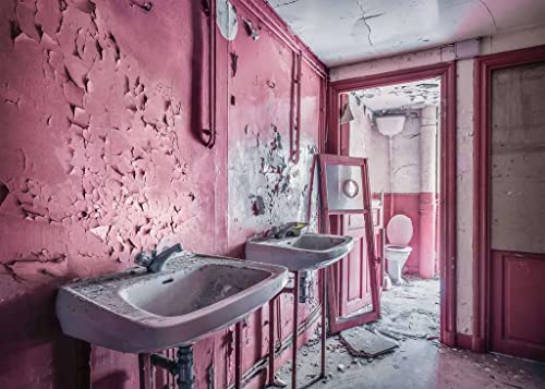 Ravensburger - Puzzle Baño rosa en ruinas, Colección Lost Places, 1000 Piezas, Puzzle Adultos