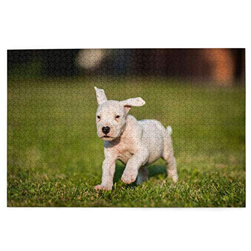 Rompecabezas 1000 Piezas Perros o Mastín Argentino Argentino Pequeño Rompecabezas de Madera Blanco Juguete Juego Familiar Decoración de Pared para Adultos Adolescentes