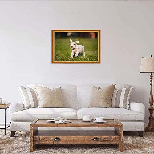 Rompecabezas 1000 Piezas Perros o Mastín Argentino Argentino Pequeño Rompecabezas de Madera Blanco Juguete Juego Familiar Decoración de Pared para Adultos Adolescentes