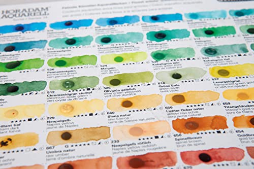 Schmincke - HORADAM® AQUARELL Dotcard con 140 tonos - 14 999 140, para probar todos los tonos de HORADAM® AQUARELL