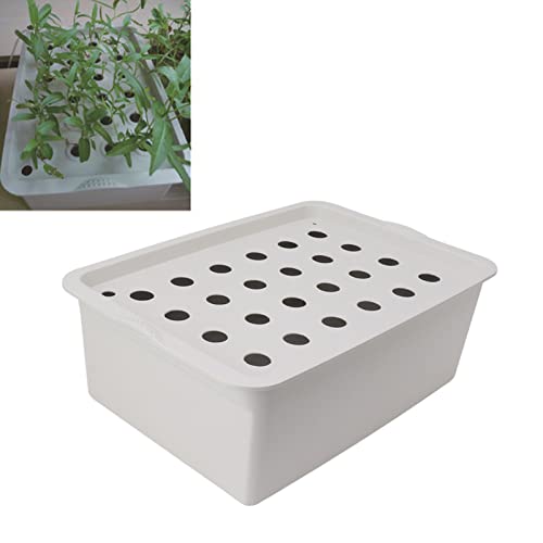 Sorandy Hidropónico Gris de 24 Agujeros con Temporizador, de Cultivo Hidropónico, de Cultivo Hidropónico Interior con Bomba de Oxígeno, Caja de Cultivo Hidropónico para Cultivar