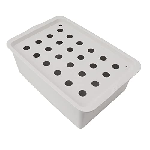 Sorandy Hidropónico Gris de 24 Agujeros con Temporizador, de Cultivo Hidropónico, de Cultivo Hidropónico Interior con Bomba de Oxígeno, Caja de Cultivo Hidropónico para Cultivar