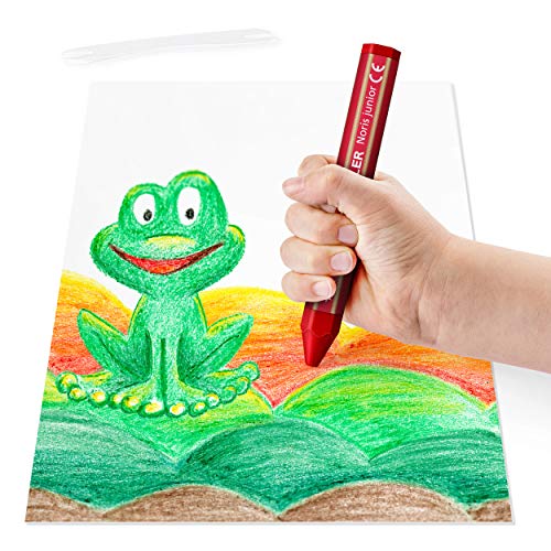 STAEDTLER Noris Junior 224 C18 - Crayones de cera gruesos para niños, 18 colores surtidos en caja de cartón.