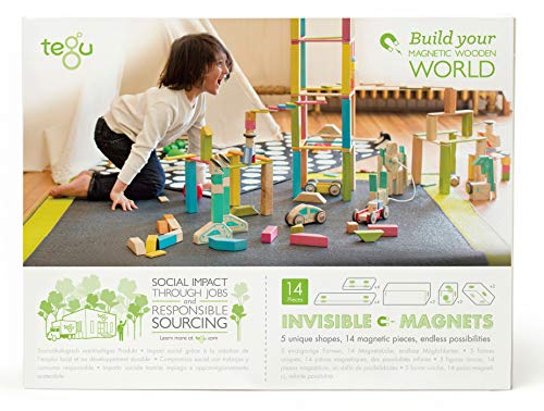 Tegu Juego de Bloques de Construcción de madera magnéticos de 14 piezas - Blues , color/modelo surtido