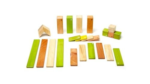 Tegu Juego de Bloques de Construcción de madera magnéticos de 24 piezas - Jungla , color/modelo surtido