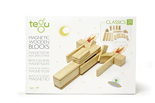 Tegu Juego de Bloques de Construcción de madera magnéticos de 24 piezas - Natural , color/modelo surtido