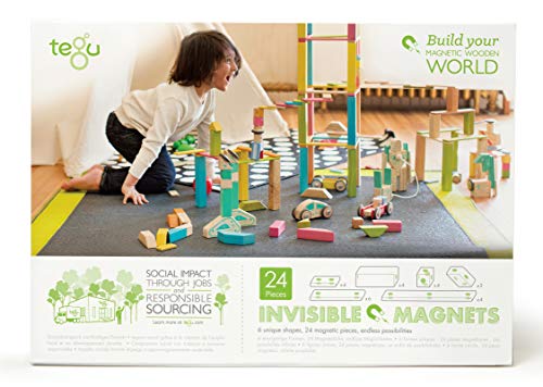 Tegu Juego de Bloques de Construcción de madera magnéticos de 24 piezas - Tintes , color/modelo surtido