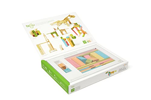 Tegu Juego de Bloques de Construcción de madera magnéticos de 24 piezas - Tintes , color/modelo surtido