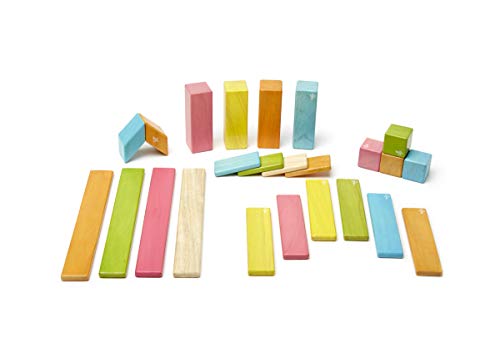 Tegu Juego de Bloques de Construcción de madera magnéticos de 24 piezas - Tintes , color/modelo surtido