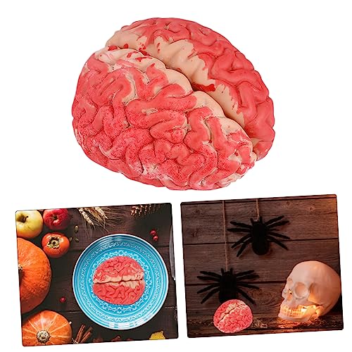 TOYANDONA 3 Piezas Cerebro De Simulación De Halloween Herramienta De Broma De Halloween Sangriento Decoración De Cerebro De Halloween Oreja Falsa Obsesionado Cuerpo Humano Vinilo Oído Falso