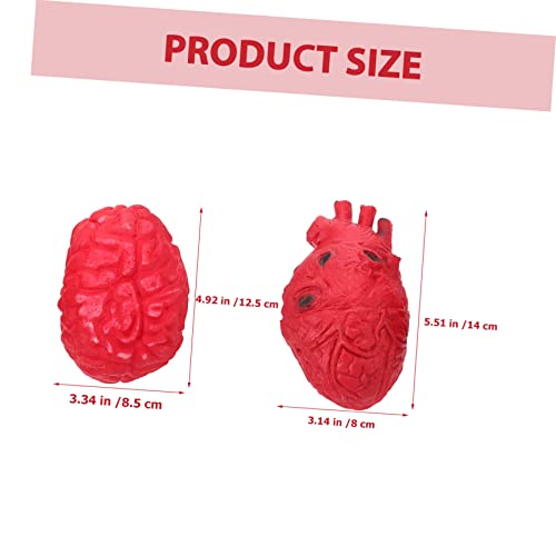 TOYANDONA 8 Piezas Apoyos del Cuerpo Ensangrentado Órgano Humano Falso Cerebro Corazón Artificial Corazón Falso Malditos Organos Humanos Falsos Maniquíes Vinilo Vestir En Forma De Corazon