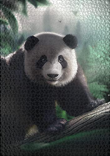 Ulmer Puzzleschmiede - Puzzle "Panda en el bosque de bambú" – Puzzle de 1000 piezas con diseño de animales – El raro oso panda en su país en China – Animales y naturaleza como puzle exótico.